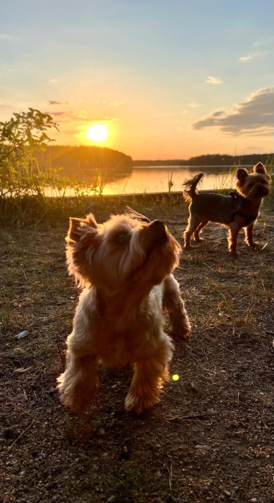 Skrawek Nieba Borsk Villa Buitenkant foto